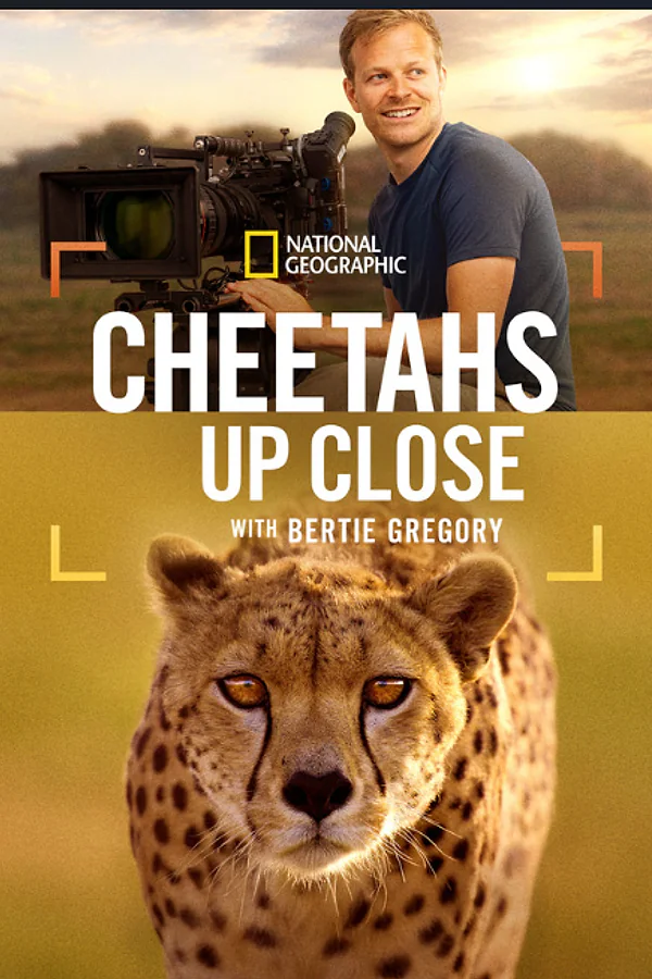 Affiche de Cheetahs Up Close